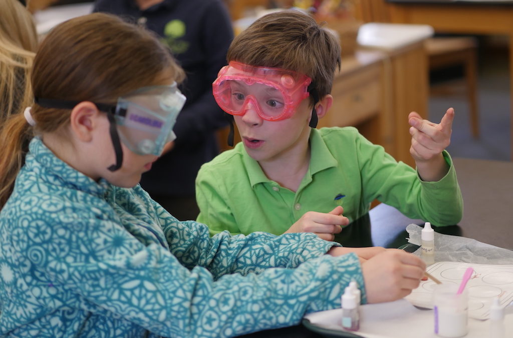 Sign Up for Mad Scientists Summer Camp!