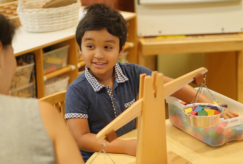 Can Systems Thinking Be Taught in Kindergarten?