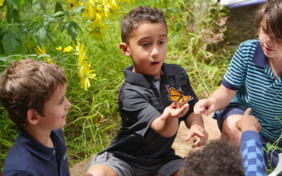 Join Ms. M’s Summer of Bugs Nature Challenge!