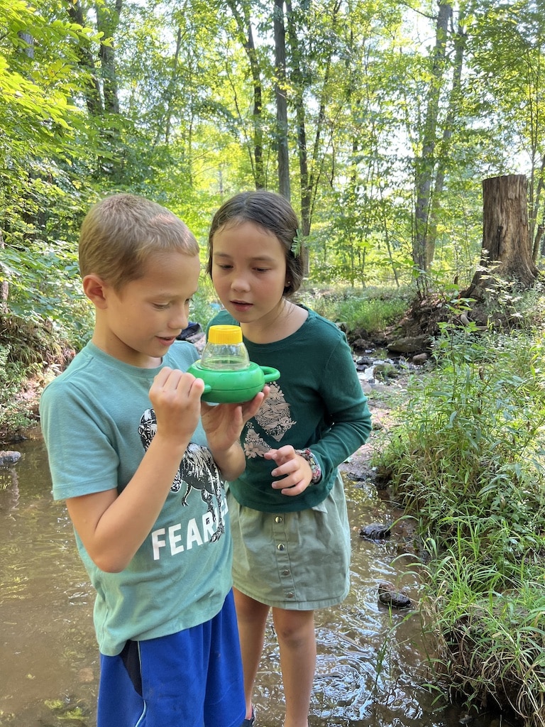 children at the Willow stream
